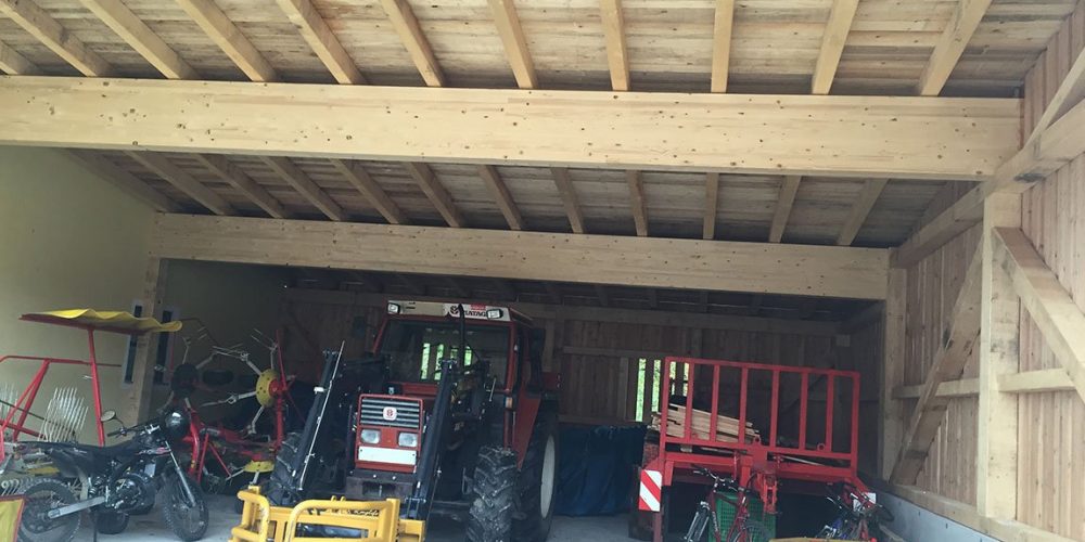 Spitzer Holzbau - Zu und Umbau